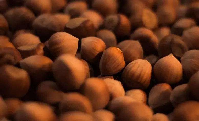 Does eating nuts make you fat?