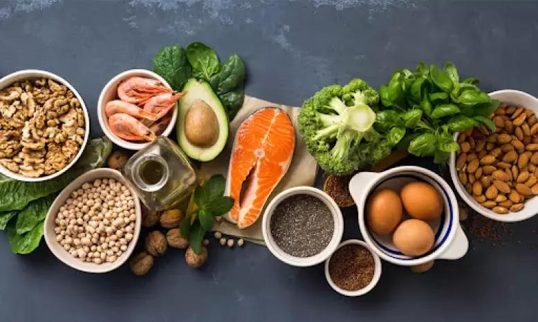 The Facts About the Best Protein Sources for Fat Loss