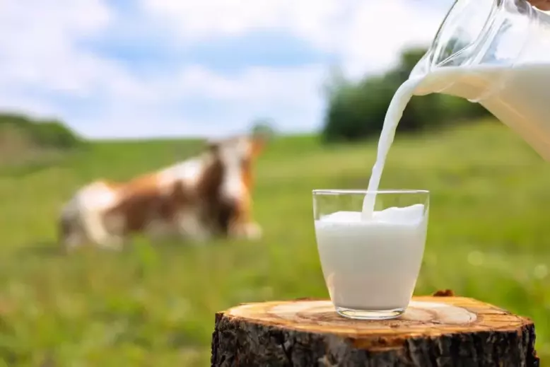 Science or Snake Oil: Is A2 Milk Actually Better for You Than Regular Cow&rsquo;s Milk?