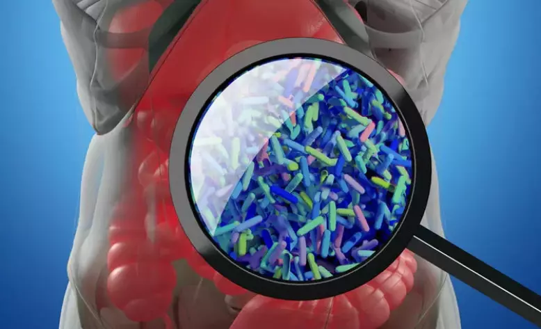 Dr Nick Fuller busts five health myths